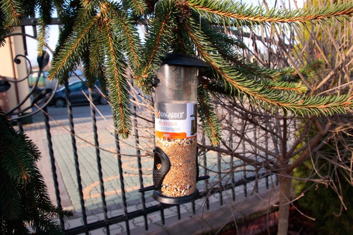Bird Feeder with Hanging Bracket