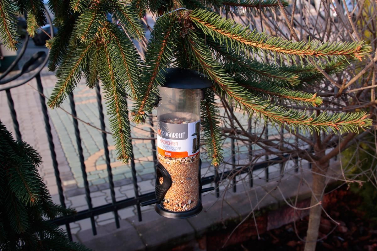 Bird Feeder with Hanging Bracket